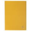 PROTEGE DOCUMENT 20 VUES JAUNE