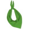 +6 FOULARDS TRIANGULAIRES VERT