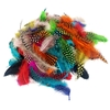 +PLUMES FAISAN COLORIS ASSORTIS 10G