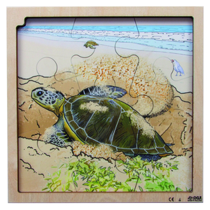 PUZZLE LA VIE DE LA TORTUE