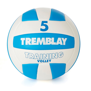 BALLON VOLLEY-BALL TRAINING T5