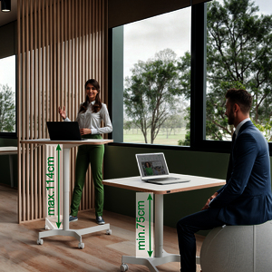 1 BUREAU ASSIS DEBOUT COMPACT MANUEL