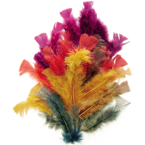 PLUMES AUTOMNE COLORIS ASSORTIS 25G