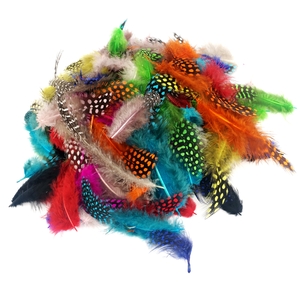 PLUMES FAISAN COLORIS ASSORTIS 10G