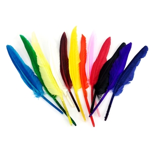 12 PLUMES INDIEN 35 CM COLORIS ASSORTIS