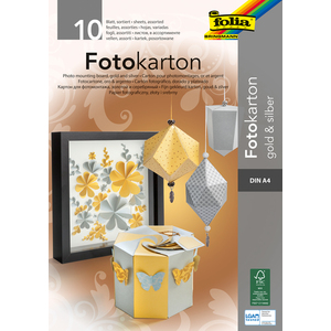 10F CARTON 300G 21X29,7CM OR/ARGENT